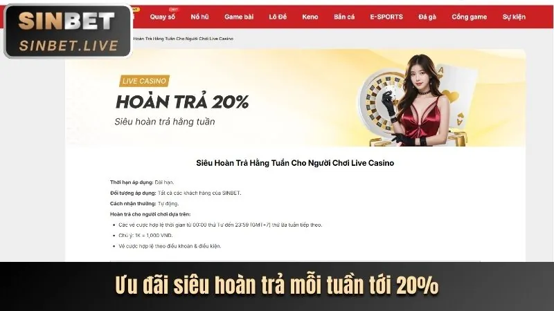 Hình ảnh bài viết: Tổng Quan Các Chương Trình Khuyến Mãi Mới Nhất Của 88aa Năm 2024
